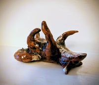Image 1 of Rolling fox 