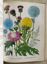 Image 3 of The Oxford Book of Garden Flowers