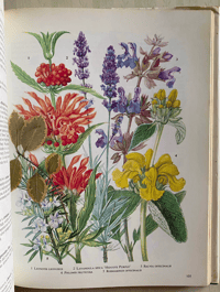Image 5 of The Oxford Book of Garden Flowers