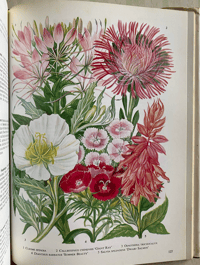 Image 7 of The Oxford Book of Garden Flowers