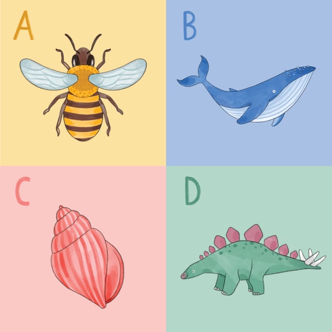 fisarmonica + carte visione neonati 