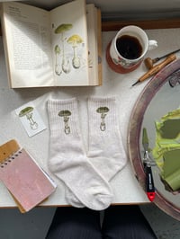 Image 2 of Death Cap Mushroom socks