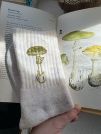 Image 1 of Death Cap Mushroom socks