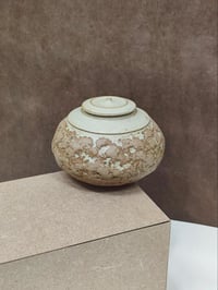 Image 1 of Boîte Tellus n°2