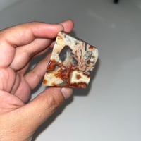 Image 2 of Crazy Lace Agate Freeform 