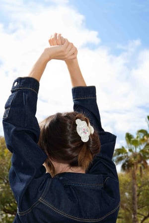 Image of Horquillas Clip