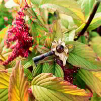 Image 1 of Broche « MITOUFLE »