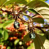 Image 1 of Boucles  « GLOUCESTER »