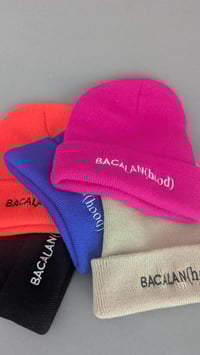 Image 4 of Mister Bean(ie) - rose