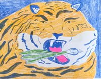 Tiger Green Onion Muncher