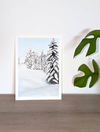 Image 3 of Snow