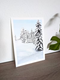Image 4 of Snow