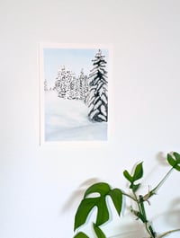 Image 2 of Snow