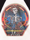 Grateful Dead 1985 Fall/Winter Raglan Shirt - Fits SM