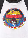 Copy of Grateful Dead 1979 Skull & Roses Raglan Shirt - Fits L/M
