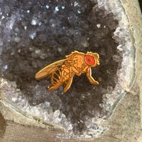 Image 2 of Tiny Enamel Pin - Fruit Fly