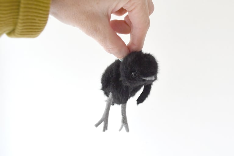  baby crow Image 4