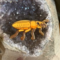Image 2 of Rhubarb Curculio Weevil Enamel Pin