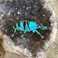 Image 2 of Schonherr's Blue Weevil Enamel Pin