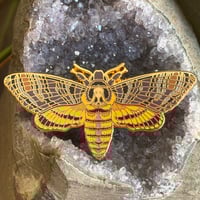 Image 2 of Death's-head Hawkmoth Enamel Pin