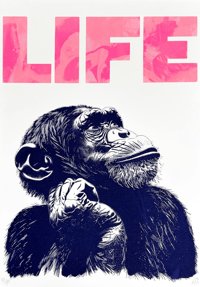 Image 1 of Life