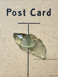 Image 1 of Charms taille XL Carpe butterfly D 