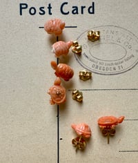 Image 3 of Mono boucle tortues A 