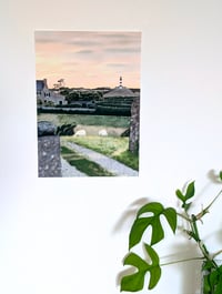 Image 4 of Sheeps of Ouessant