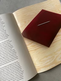 Image 5 of The Agreement. Five Stories by HASSAN KHAN
