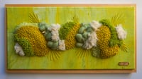 Image 1 of Ananas