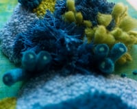 Image 2 of Bubbles