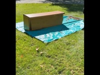 Image 5 of tarpenator