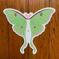 Luna Moth 5" Decal