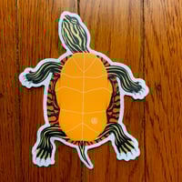 Eastern Painted Turtle 5" Sticker
