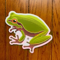Pine Barrens Treefrog: 4" Sticker