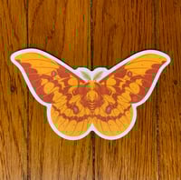 Imperial Moth 5" Decal