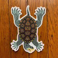 Diamondback Terrapin 5" Decal