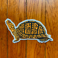 Box Turtle 5" Decal