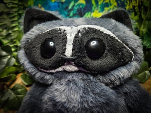 Earthling Raccoon!!