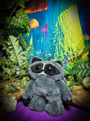 Earthling Raccoon!!