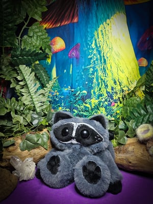 Earthling Raccoon!!