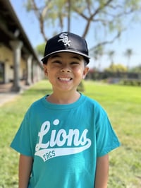 Lions script tee