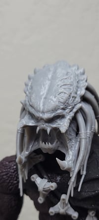 Image 2 of Wolf predator kit