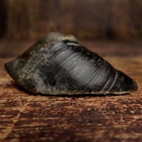 Image 1 of Sabot de bœuf