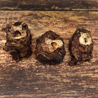 Image 3 of Cou d'autruche