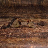 Image 2 of Museau de bœuf avec joues XL