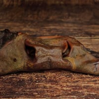 Image 1 of Museau de bœuf avec joues XL