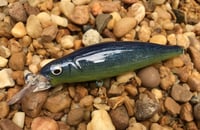 Image 1 of Custom Airbrushed Jerkbait 7953