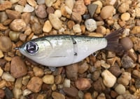 Image 2 of  Custom Airbrushed Glide Bait 7974