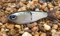 Image 5 of  Custom Airbrushed Glide Bait 7974